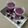 Ila Naik's cooksnap of when they made જાંબુ શોટ્સ(blackplum short recipe in Gujarati).