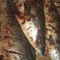 Cooksnap dari puputbening untuk resep Ikan Salmon Bakar Teflon
