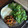 Cooksnap dari N_M untuk resep Chicken black pepper