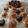 El cooksnap de MDLMOP cuando hizo Muffins con coco rallado.