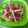 El cooksnap de ni.uman cuando hizo Carpaccio de melón con crujiente de jamón.