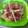 El cooksnap de ni.uman cuando hizo Carpaccio de melón con crujiente de jamón.