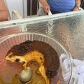 El cooksnap de Nora Mouta cuando hizo BUDIN DE PAN ❤️.