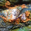 Cooksnap dari Megami No Yume untuk resep Pepes Ikan