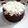 Cooksnap dari Widya chitya untuk resep Brownies Chocolatos Kukus Praktis