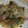 El cooksnap de Juan Francisco cuando hizo Alcachofas con costillas de cerdo.
