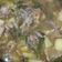 Cooksnap dari Niza untuk resep Sop Tulang Sapi