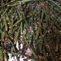 Shari's cooksnap of when they made Simple roasted asparagus.
