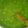 Catherine Ochieng's cooksnap of when they made Green mokimo.