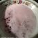 Cooksnap dari nopal's mom untuk resep Bubur Mutiara Santan Kara
