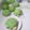 Cooksnap dari DEWI SARASWATI untuk resep Chocolate Sugar Bread