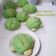 Cooksnap dari DEWI SARASWATI untuk resep Chocolate Sugar Bread