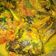 Cooksnap dari Ika (mom nya M.Alfathan) untuk resep 85. Pesmol Ikan Nila