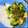 Cooksnap de Augusto Bernardo quando cozinhou Lentilhas estufadas.