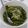 Cooksnap dari Anna Melisa untuk resep Tumis sayur genjer
