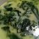 Cooksnap dari Febriani untuk resep Gulai Daun Singkong