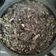 El cooksnap de cocina cuando hizo Arroz negro con anillas de calamares y mayonesa de ajo.