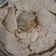 El cooksnap de Graciela Lambrechts cuando hizo Torta merengada de coco.