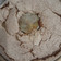 El cooksnap de Graciela Lambrechts cuando hizo Torta merengada de coco.