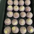 柏諭路 的 芋頭酥 cooksnap
