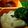 hanimma's cooksnap of when they made Mashed Potatoes (homemade).