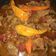 Cooksnap dari Reflien Anggrielian untuk resep Oseng Mercon Tetelan Sapi Khas Jogja