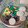 El cooksnap de Victoria Méndez cuando hizo Masitas dulces fáciles.