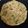 Diksha Arora's cooksnap of when they made #GA4 week 20.