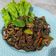 Cooksnap dari Diannita Dwi Pujiastuti Gazalie untuk resep Cumi Hitam Kemangi 🦑