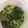 Cooksnap dari Ukik Karina untuk resep Gulai ayam + daun singkong
