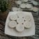 Cooksnap dari Siswaty Elfin Bachtiar untuk resep Kue Talam Ubi Ungu