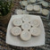 Cooksnap dari Siswaty Elfin Bachtiar untuk resep Kue Talam Ubi Ungu