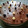El cooksnap de Noemí cuando hizo Tarta de tres chocolates para torpes 😍.