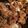 Paul Wells's cooksnap of when they made Butternut Squash Gnocchi.