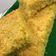Cooksnap dari Tiara Putri Wibowo untuk resep Bolu Jagung Santan
