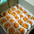 Cooksnap dari NINA untuk resep Kroket Kentang Ayam