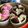 Cooksnap dari Junetha Cinthya untuk resep Bolu Kukus Mekar by Mikha's Kitchen