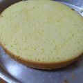 Cooksnap dari Jenna Liem untuk resep Spongecake 4 telur
