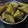 Cooksnap dari Henny l_tobing untuk resep Kiecang