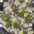 來福 的 草莓核桃牛軋糖(棉花糖版) cooksnap