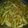 Misses Sajjad Memon's cooksnap of when they made Chipsss.