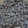 Cooksnap dari Dapur Koe untuk resep 3. Kacang Atom