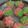Cooksnap dari Dwi Susiasih untuk resep Bolu Kukus Mekar Rainbow