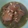Cooksnap dari Endah Mumpuni untuk resep Semur Daging Betawi