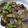 Jocy Cooke's cooksnap of when they made Miso stir-fry with eggplant & Green bell pepper.