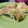 Cooksnap dari Ayue Irfan untuk resep Terang bulan (martabak manis)