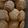 El cooksnap de Guillermina cuando hizo Galletitas Armenias 👩🏼‍🍳🍪.