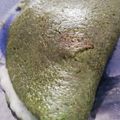 El cooksnap de Meli Mantella cuando hizo Panqueques Verdes de Espinaca o Acelga.