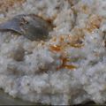 Neena singh का कुकस्नैप जब उन्होंने बाजरे की खिचड़ी (bajre ki khichdi recipe in Hindi) बनाया था।