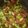 Keki Ab's cooksnap of when they made Tomato, cucumber, avocado salad.
